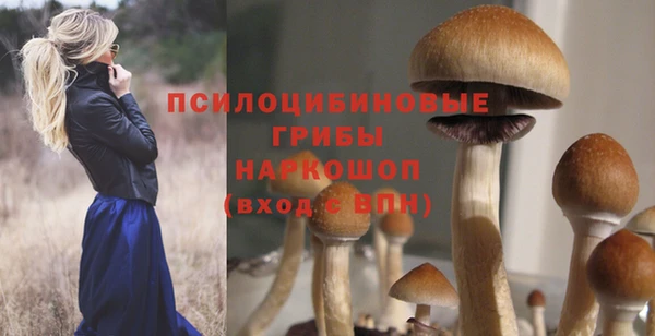 мяу мяу мука Нефтегорск