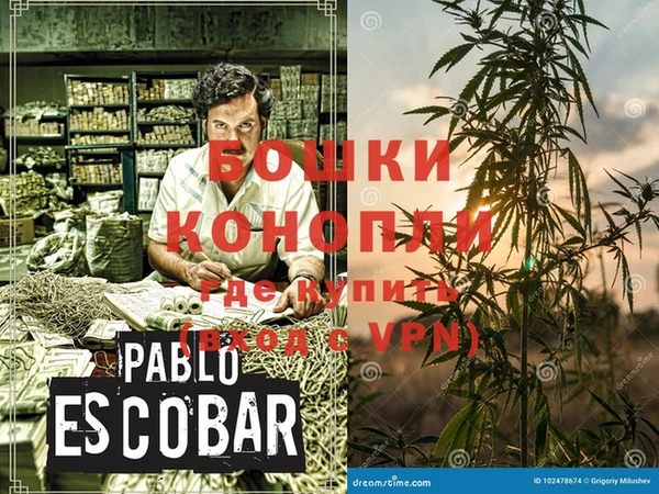 PSILOCYBIN Нея